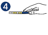 Step 4